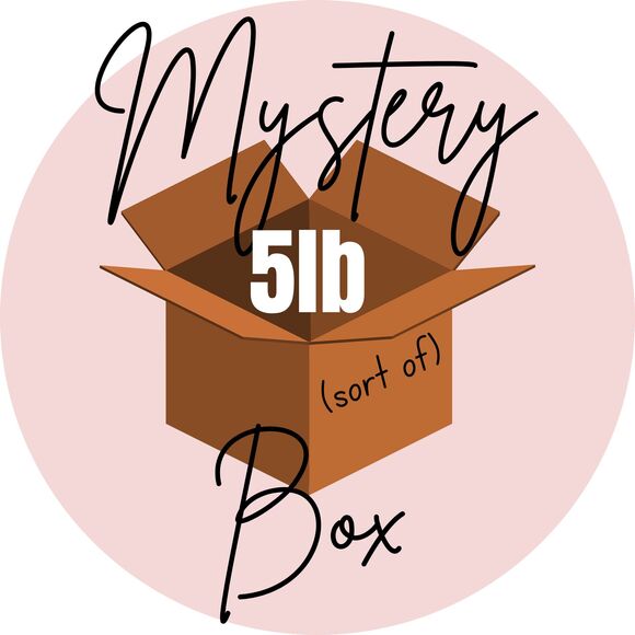 MYSTERY BOX (sort of) Womens Size MEDIUM 8-10 - 5LB CLOTHING Mixed Lot 2503 - Picture 1 of 6